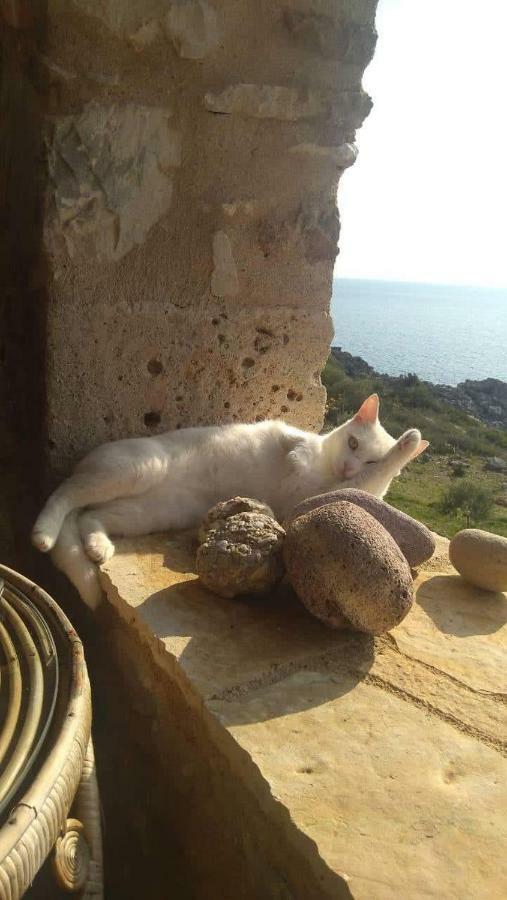 Appartamento Pogonitsa Kotronion  Esterno foto